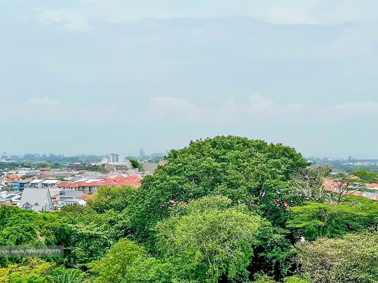 Tanah Merah Kechil Link (D16), Condominium #563231331